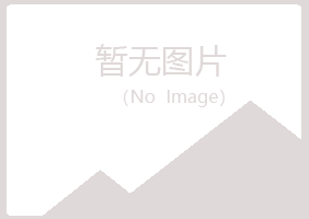 宁夏山柏工程有限公司